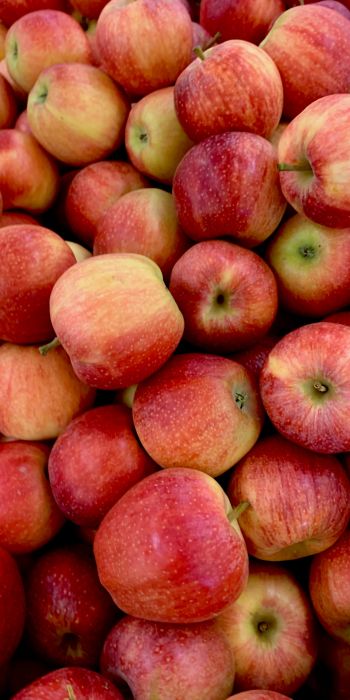 apples, fruit Wallpaper 720x1440