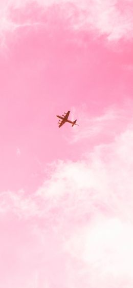 plane, sky, pink Wallpaper 1284x2778