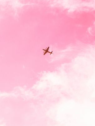 Обои 1536x2048 самолет, небо, розовый