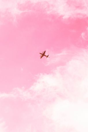 Обои 2666x3999 самолет, небо, розовый