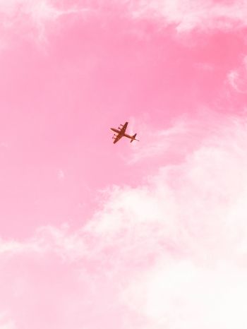 Обои 2048x2732 самолет, небо, розовый