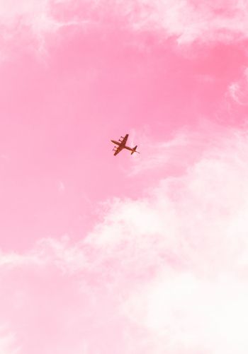 plane, sky, pink Wallpaper 1668x2388