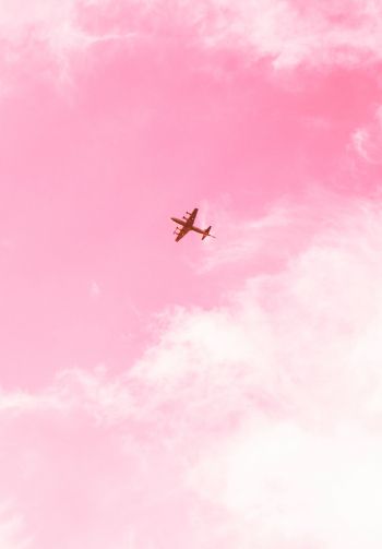 plane, sky, pink Wallpaper 1640x2360