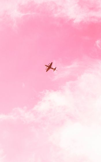Обои 1752x2800 самолет, небо, розовый