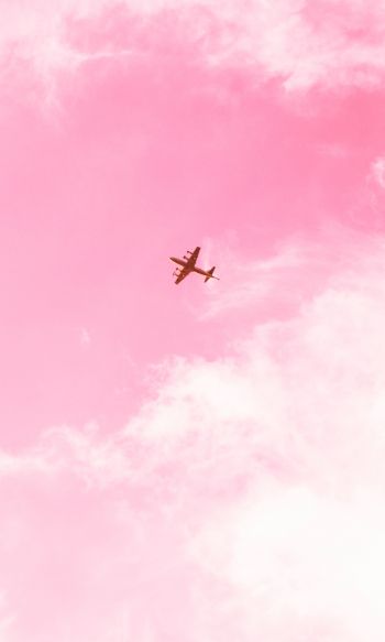 Обои 1200x2000 самолет, небо, розовый
