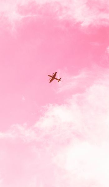 Обои 600x1024 самолет, небо, розовый