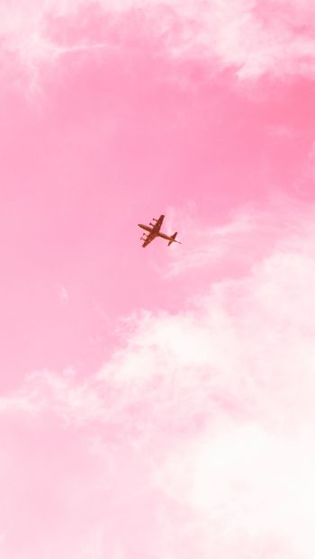 Обои 640x1136 самолет, небо, розовый