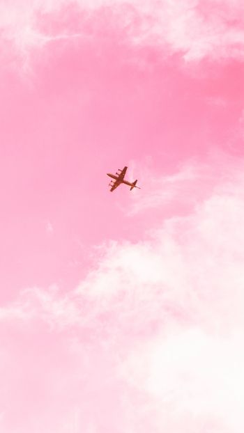 Обои 2160x3840 самолет, небо, розовый