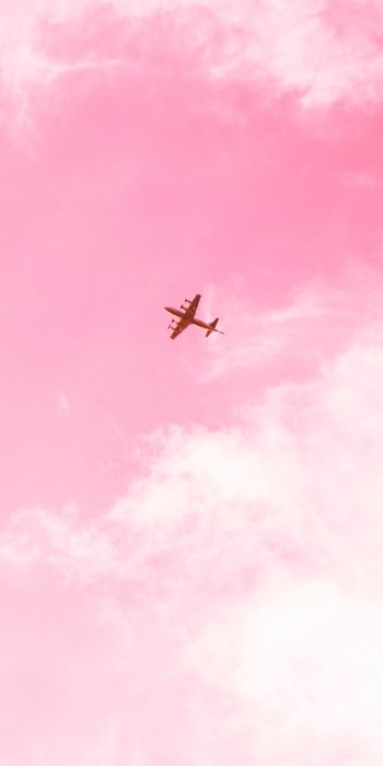 Обои 720x1440 самолет, небо, розовый