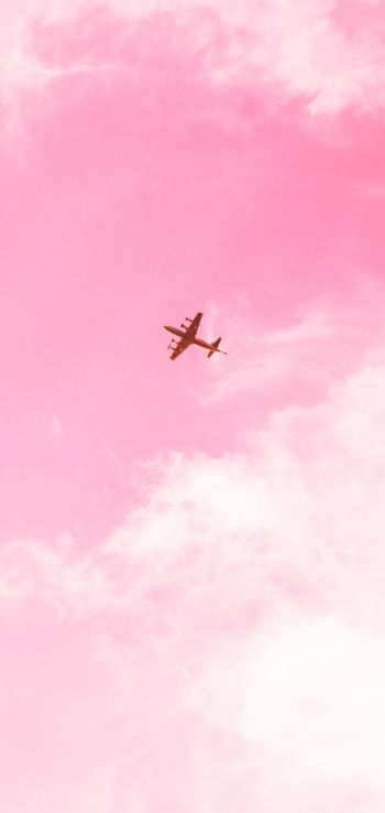 plane, sky, pink Wallpaper 1080x2280