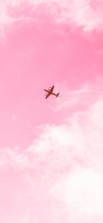 plane, sky, pink Wallpaper 1284x2778
