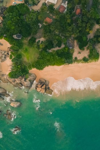 Балапития, Sri Lanka, coastal zone Wallpaper 640x960