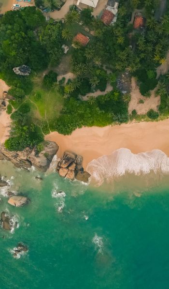 Балапития, Sri Lanka, coastal zone Wallpaper 600x1024