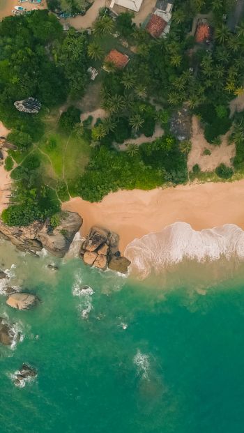 Балапития, Sri Lanka, coastal zone Wallpaper 640x1136