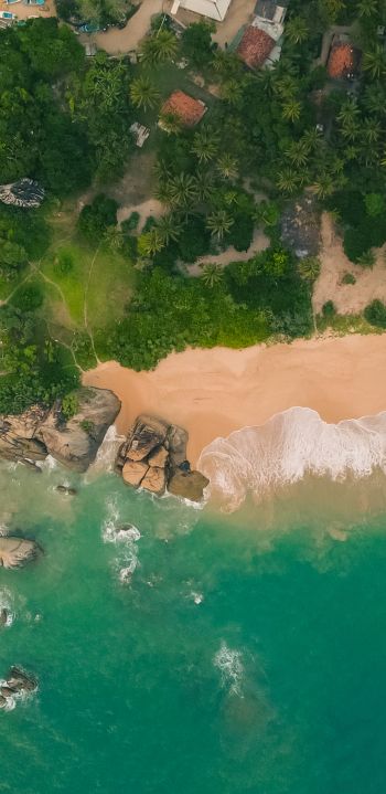 Балапития, Sri Lanka, coastal zone Wallpaper 1080x2220