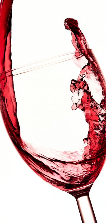 a glass of wine Wallpaper 1440x3040