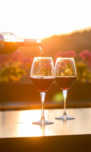 glasses of wine, sunset Wallpaper 1200x2000