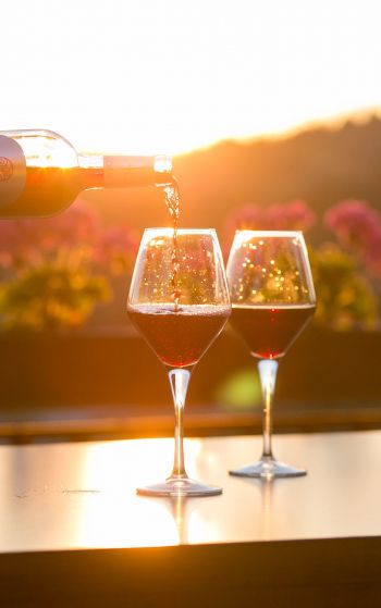 glasses of wine, sunset Wallpaper 1752x2800