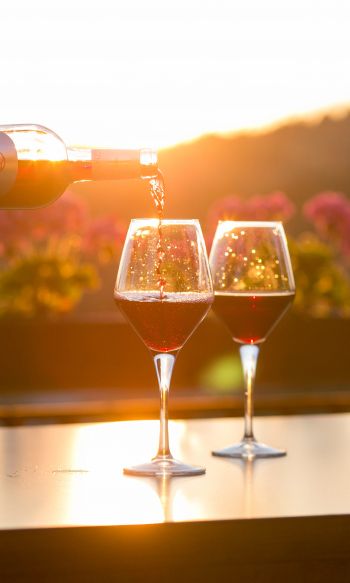 glasses of wine, sunset Wallpaper 1200x2000