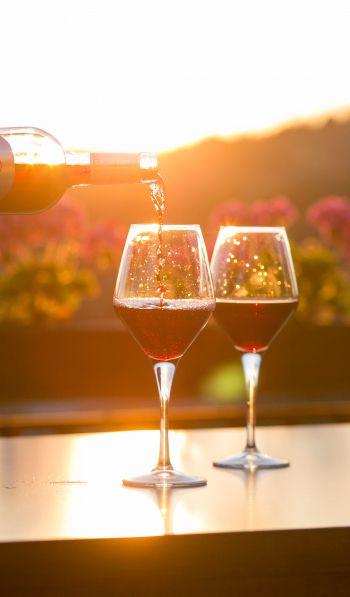 glasses of wine, sunset Wallpaper 600x1024