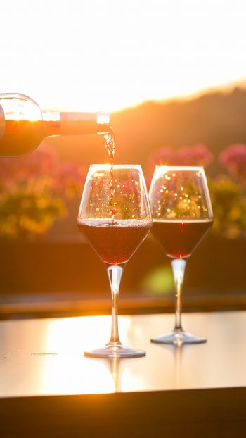 glasses of wine, sunset Wallpaper 1440x2560