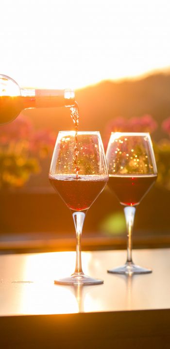glasses of wine, sunset Wallpaper 1080x2220