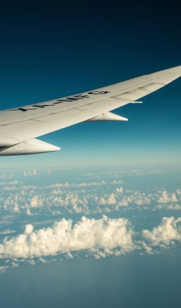 airplane wing, flight Wallpaper 600x1024