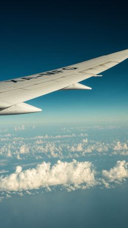 airplane wing, flight Wallpaper 640x1136