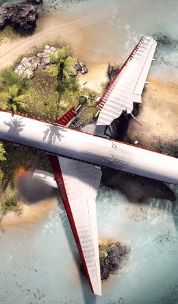 Battlefield 4, plane, plane crash Wallpaper 600x1024