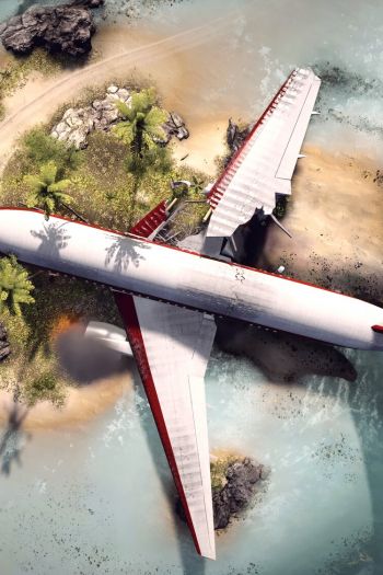 Battlefield 4, plane, plane crash Wallpaper 640x960