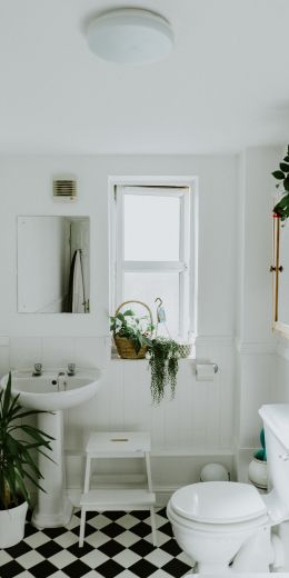 bathroom Wallpaper 720x1440