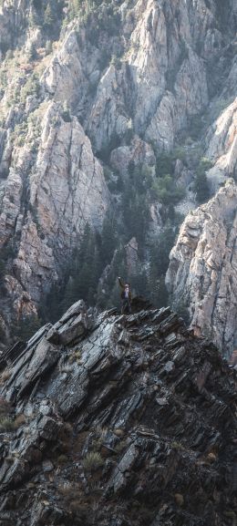 mountains, mountain peaks Wallpaper 1080x2400