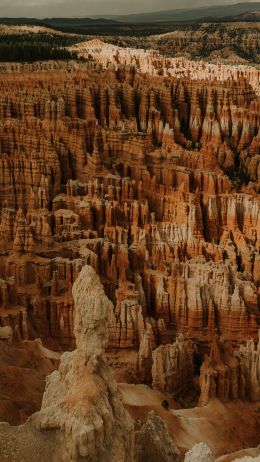 Bryce, USA, canyon Wallpaper 2587x4599