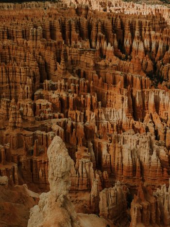 Bryce, USA, canyon Wallpaper 1536x2048