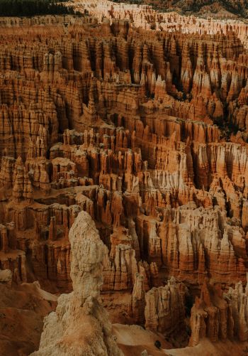 Bryce, USA, canyon Wallpaper 1668x2388