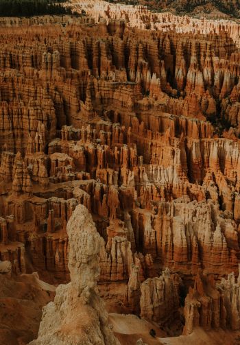Bryce, USA, canyon Wallpaper 1640x2360