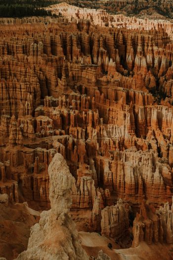 Bryce, USA, canyon Wallpaper 640x960