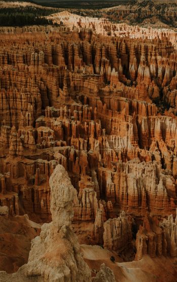 Bryce, USA, canyon Wallpaper 1752x2800