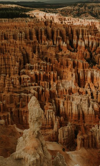 Bryce, USA, canyon Wallpaper 1200x2000
