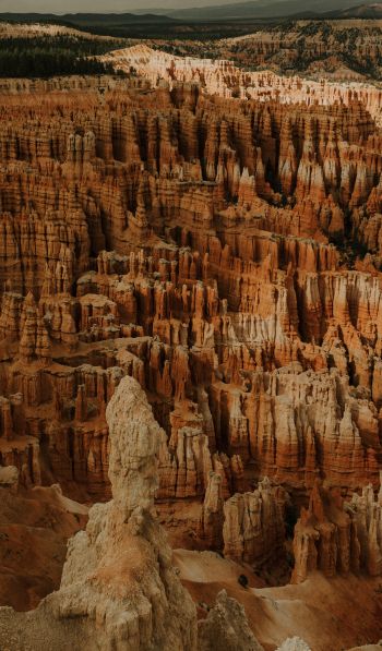 Bryce, USA, canyon Wallpaper 600x1024