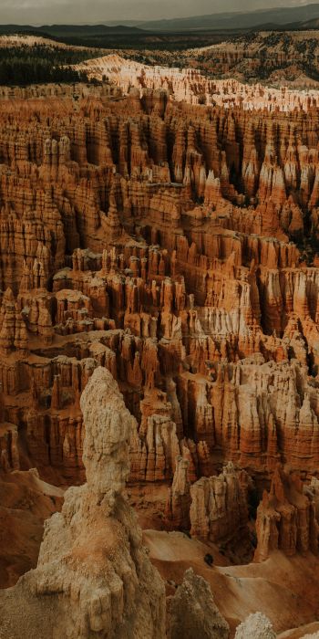 Bryce, USA, canyon Wallpaper 720x1440