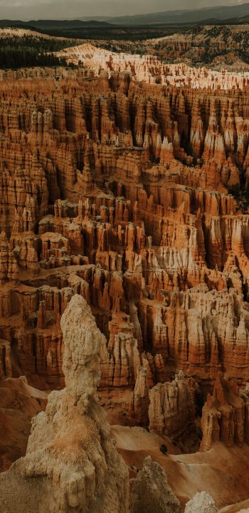 Bryce, USA, canyon Wallpaper 1440x2960