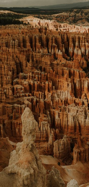 Bryce, USA, canyon Wallpaper 720x1520