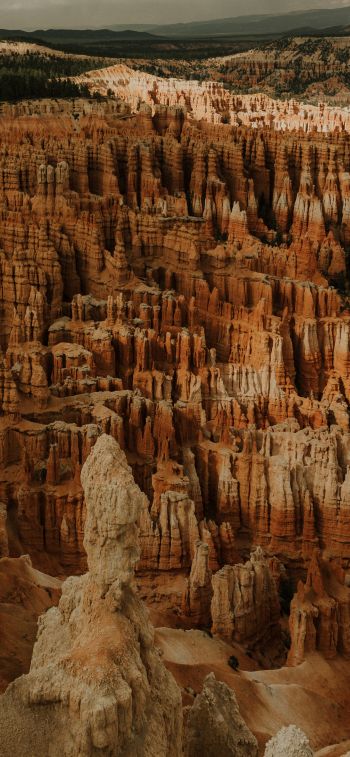 Bryce, USA, canyon Wallpaper 1125x2436