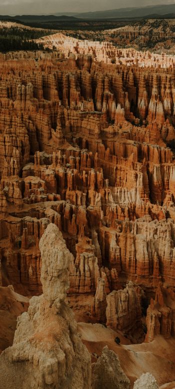 Bryce, USA, canyon Wallpaper 1080x2400