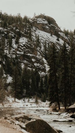 forest, mountains, mountain river Wallpaper 640x1136