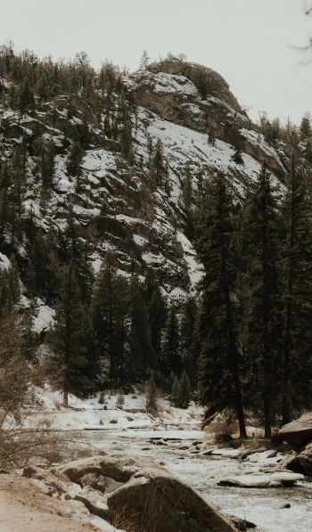 forest, mountains, mountain river Wallpaper 600x1024