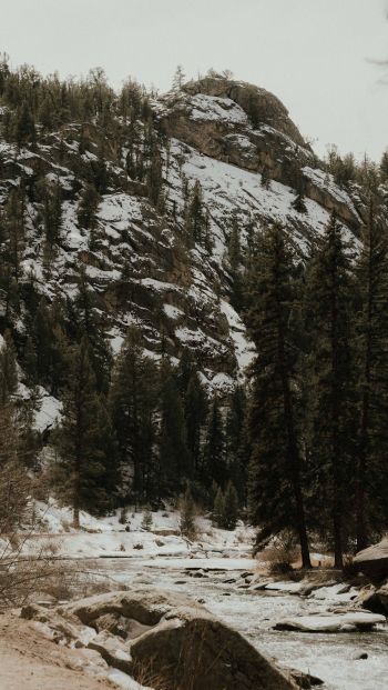 forest, mountains, mountain river Wallpaper 640x1136