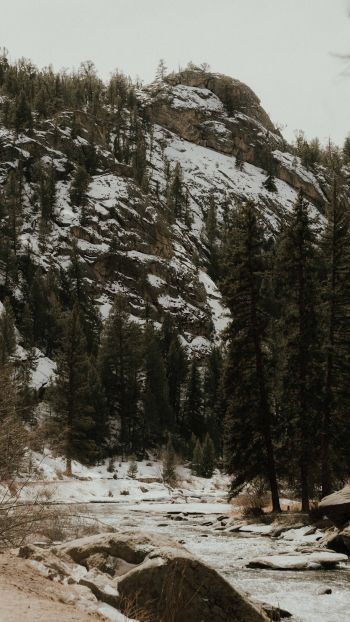 forest, mountains, mountain river Wallpaper 750x1334