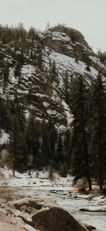 forest, mountains, mountain river Wallpaper 828x1792